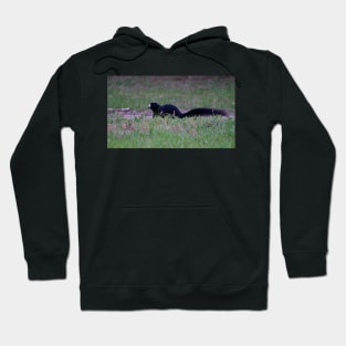 Black Fox Squirrel Hoodie